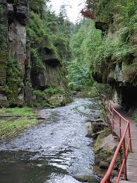 Edmund's Wild Gorge